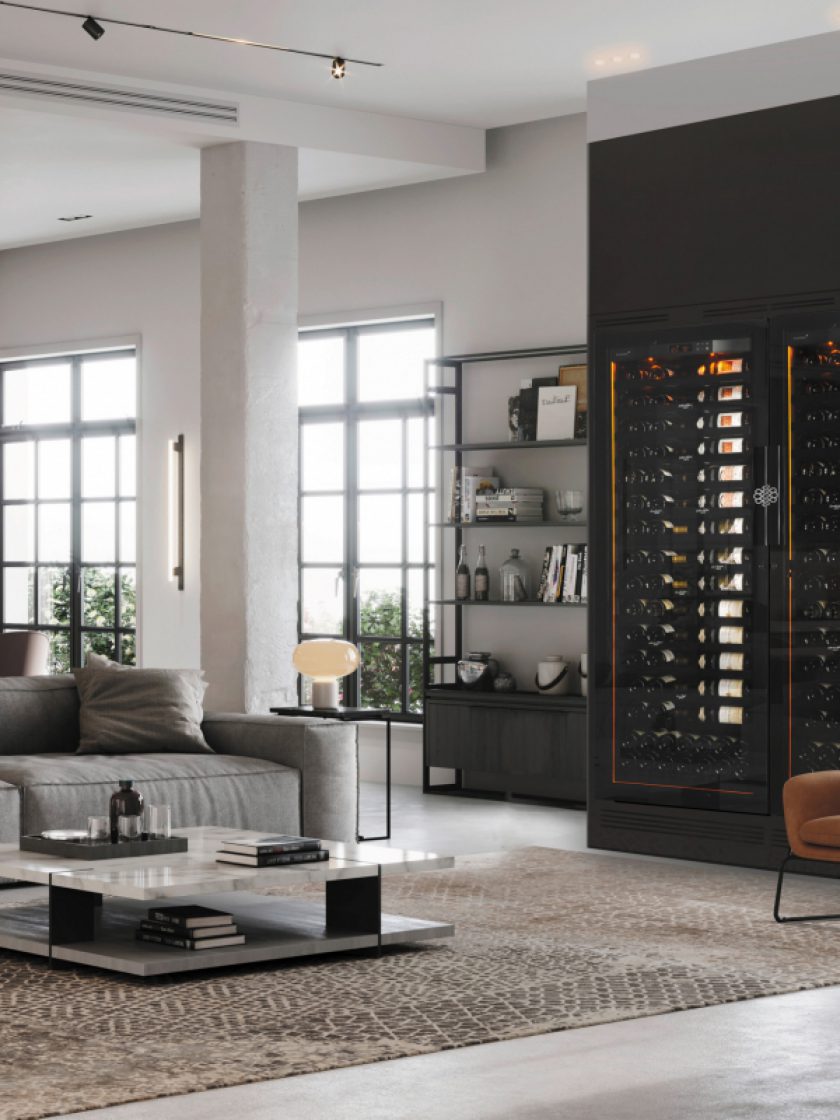 葡萄酒储存熟化酒柜 14 EuroCave cave a vin vieillissement revelation