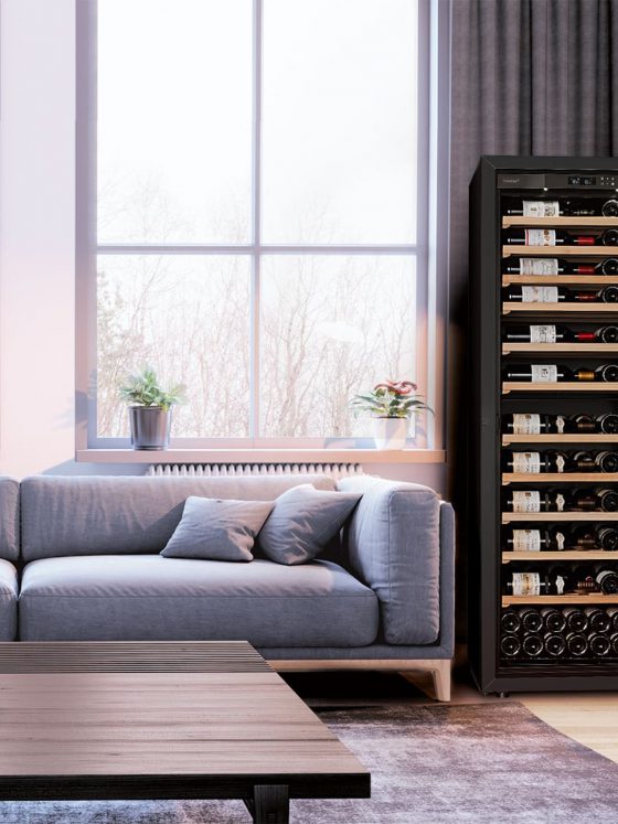 葡萄酒储存熟化酒柜 10 eurocave cave a vin la premiere grande taille salon porte vitree cadre noir canape 2 1