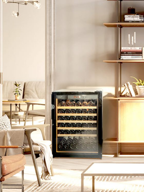 葡萄酒储存熟化酒柜 15 eurocave cave a vin revelation petite taille soleil bibliotheque antique moderne vintage lumiere integree 2