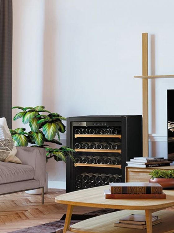 葡萄酒储存熟化酒柜 11 la premiere eurocave salon scandinave petite cave a vin pose libre parquet chevrons